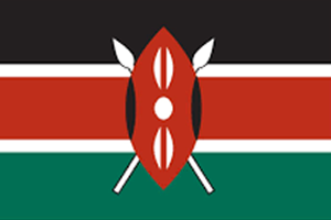 Kenya Electricity Generating Company power station project